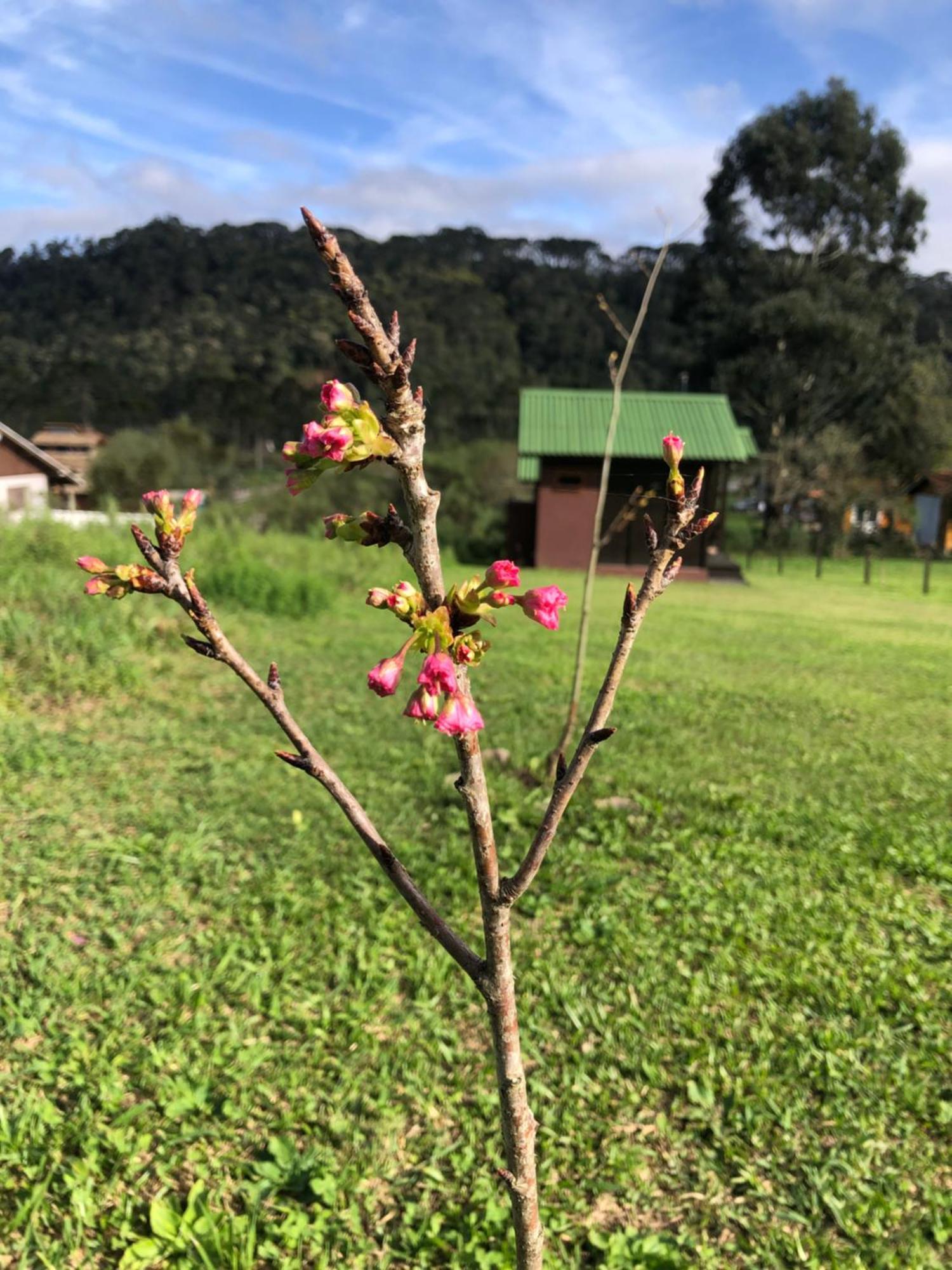 Casa na Serra Urubici Exterior foto